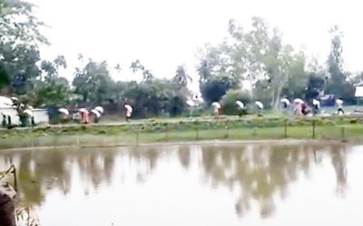কুড়িগ্রামে গুদাম ভেঙে ১০ হাজার কেজি সার নিয়ে গেল বিক্ষুব্দ কৃষক