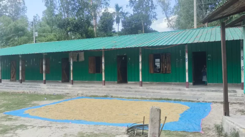 লিখিত আবেদন ছাড়াই দীর্ঘদিন অনুপস্থিত সহকারী শিক্ষিকা