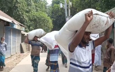 কুড়িগ্রামে গোডাউন ভেঙে শতাধিক বস্তা সার লুট হওয়ার অভিযোগ