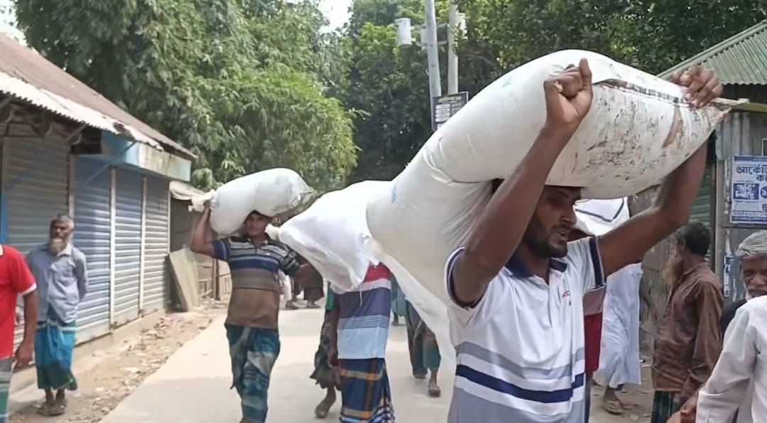 কুড়িগ্রামে গোডাউন ভেঙে শতাধিক বস্তা সার লুট হওয়ার অভিযোগ