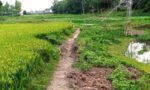 ৩৮ বছরেও নির্মাণ হয়নি সেতু, দুর্ভোগে ৮ গ্রামের ২০ হাজার মানুষ