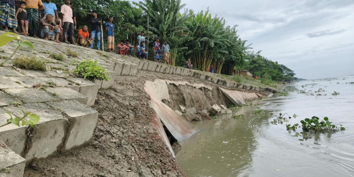চিলমারীতে ব্রহ্মপুত্র নদের ডান তীর রক্ষা বাঁধে ৪০ মিটার ধস