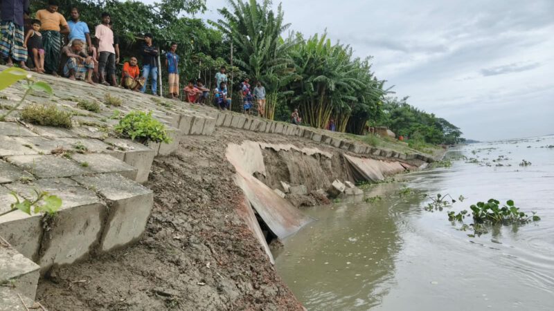 চিলমারীতে ব্রহ্মপুত্র নদের ডান তীর রক্ষা বাঁধে ৪০ মিটার ধস
