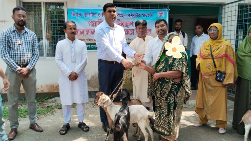 ফুলবাড়ীতে ভিক্ষুক পুনর্বাসনে ৪২ ছাগল ও ২ মুদি দোকান
