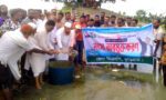 কুড়িগ্রামে বিএনপির উদ্যোগে মাছের পোনা অবমুক্তকরণ